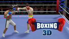 Boxing 3D