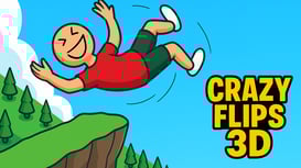 Crazy Flips 3D