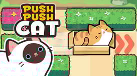 Push Push Cat