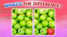 What's The Difference?